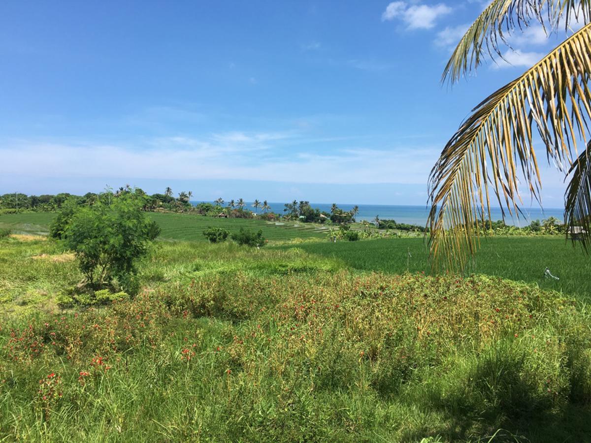 Exotica Bali Villa Чангу Экстерьер фото
